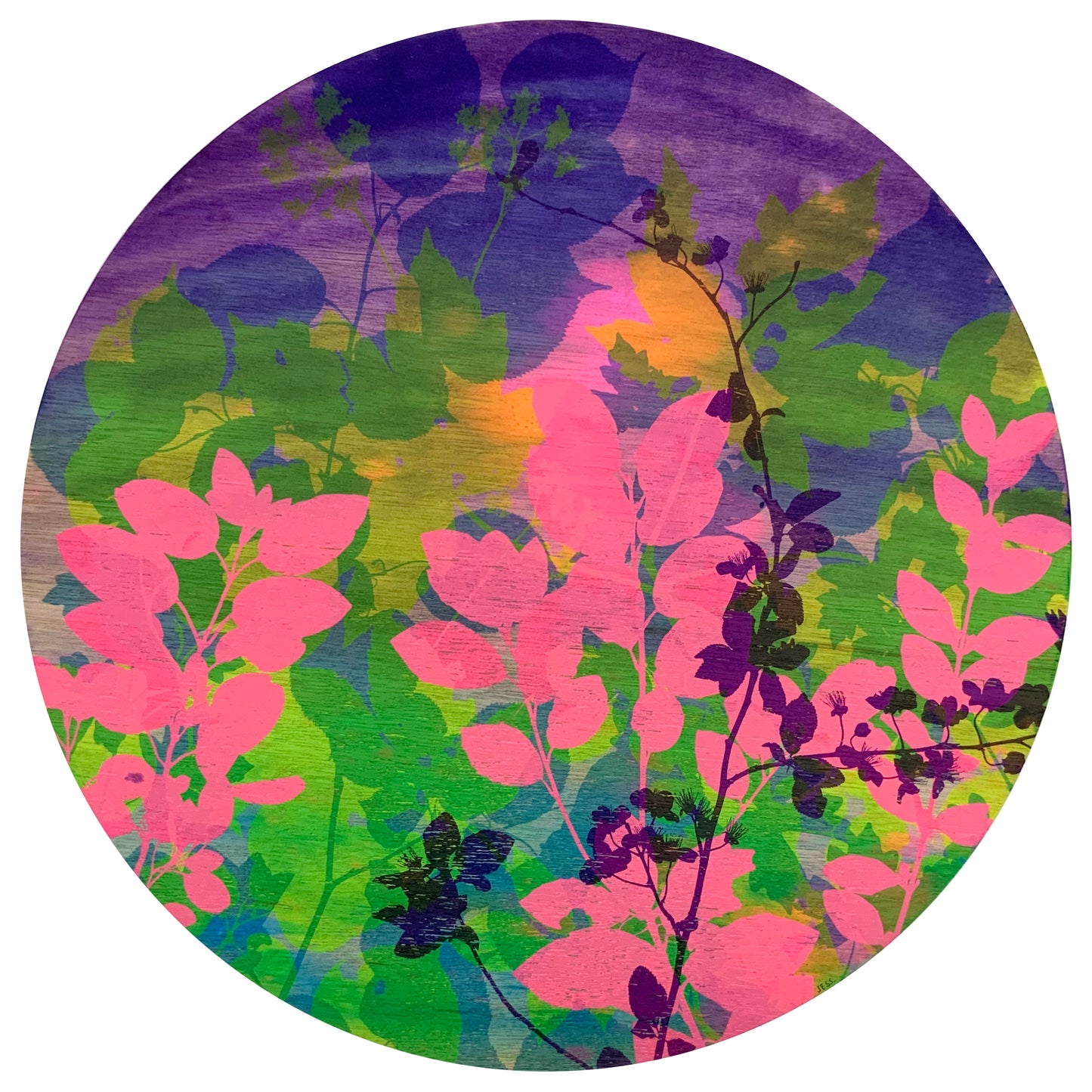 Apple Blossom 20