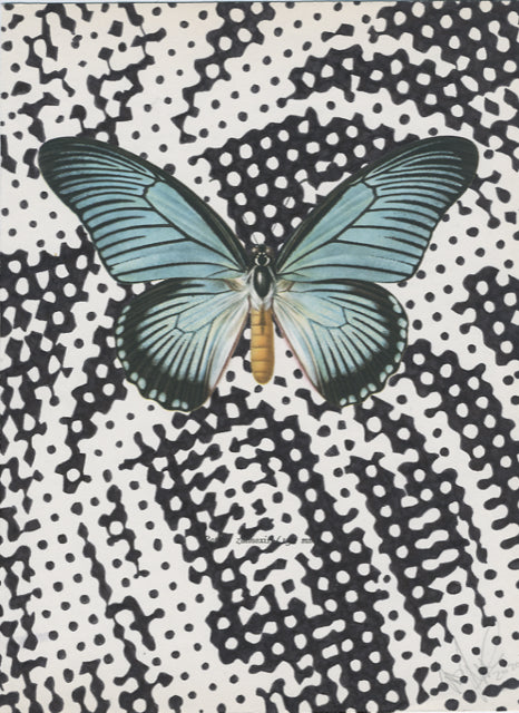 Zalmoxis
