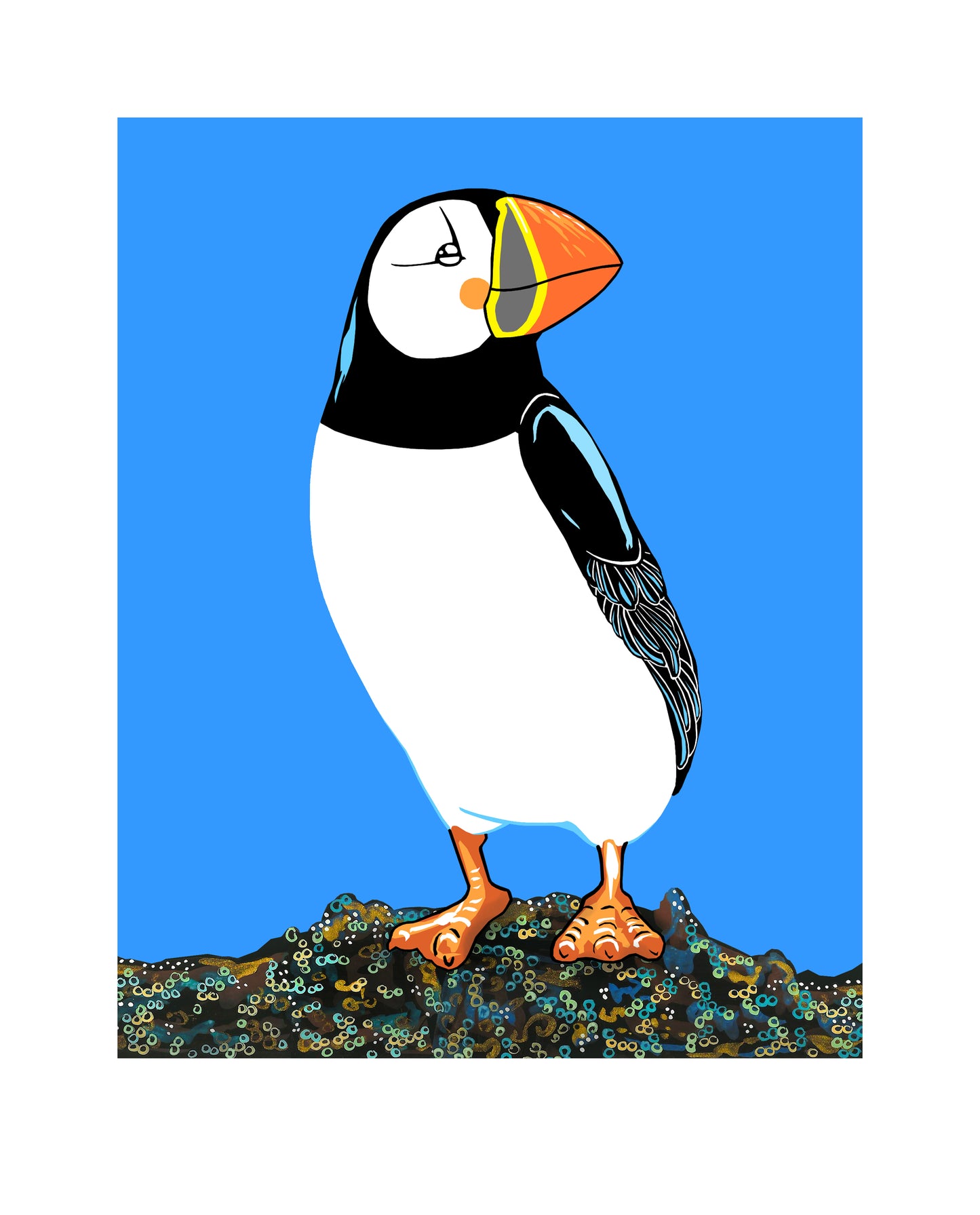 Atlantic Puffin