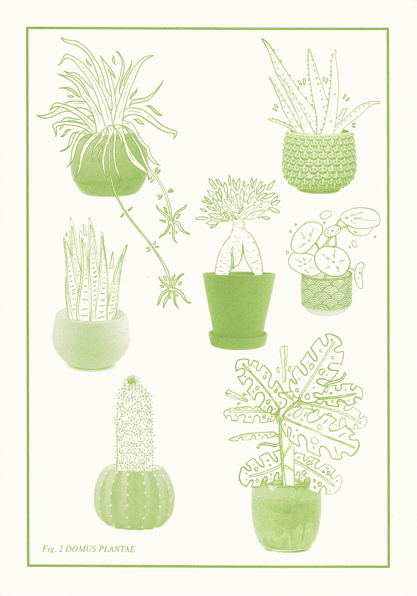 Domus Plantae
