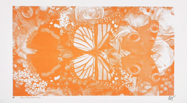 Papillon