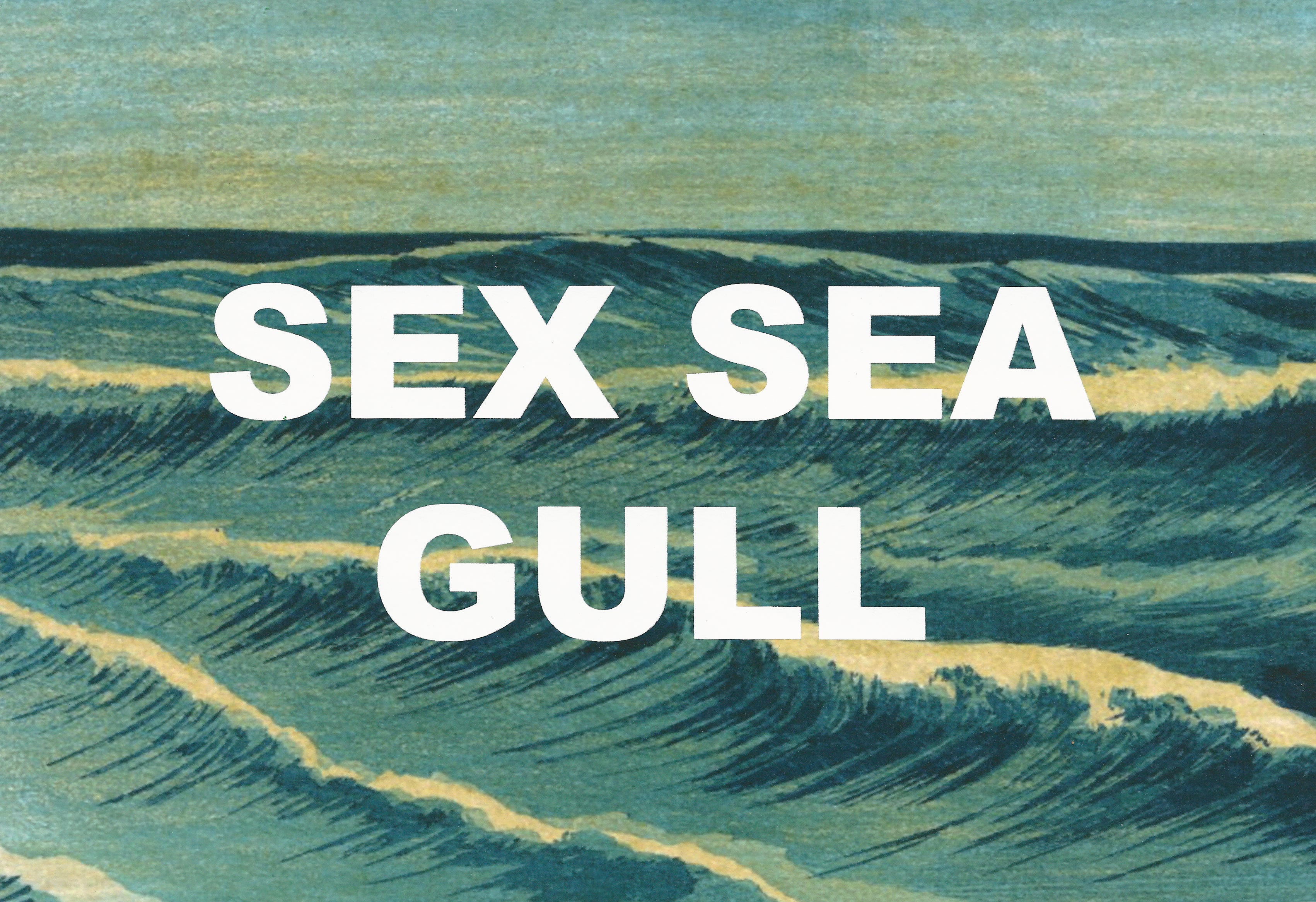 Sex Sea Gull