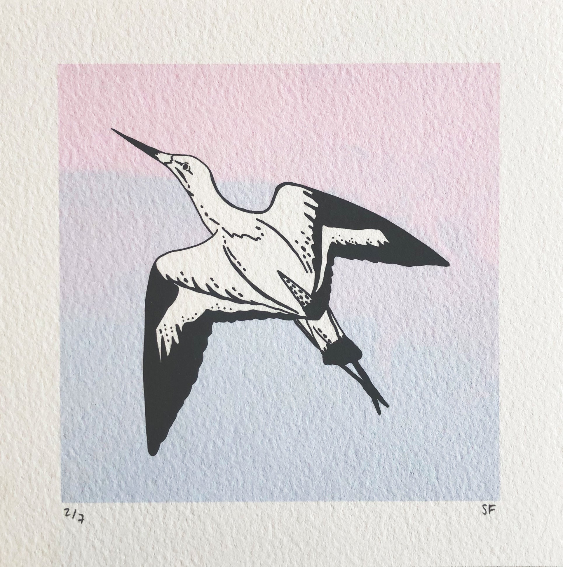 Bird 47 (Blue + Pink)