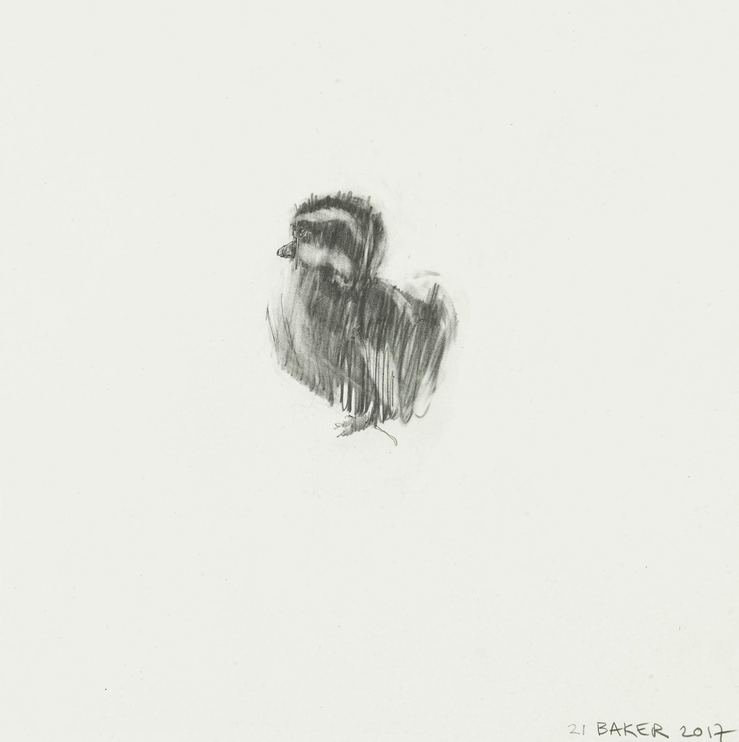 Duckling #18 Caesar