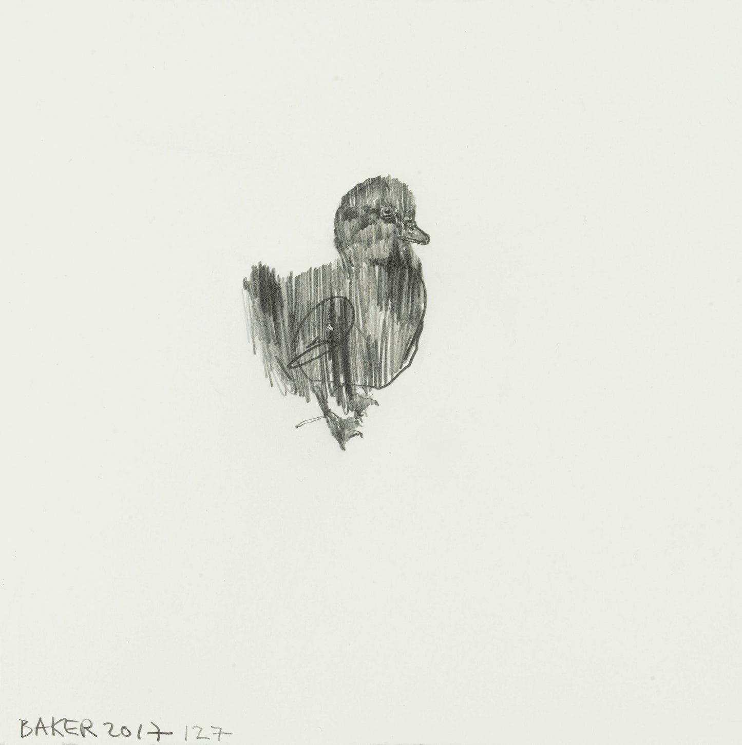 Duckling #127 Shen