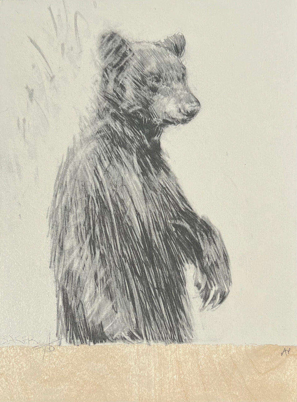 Three Bears (1)