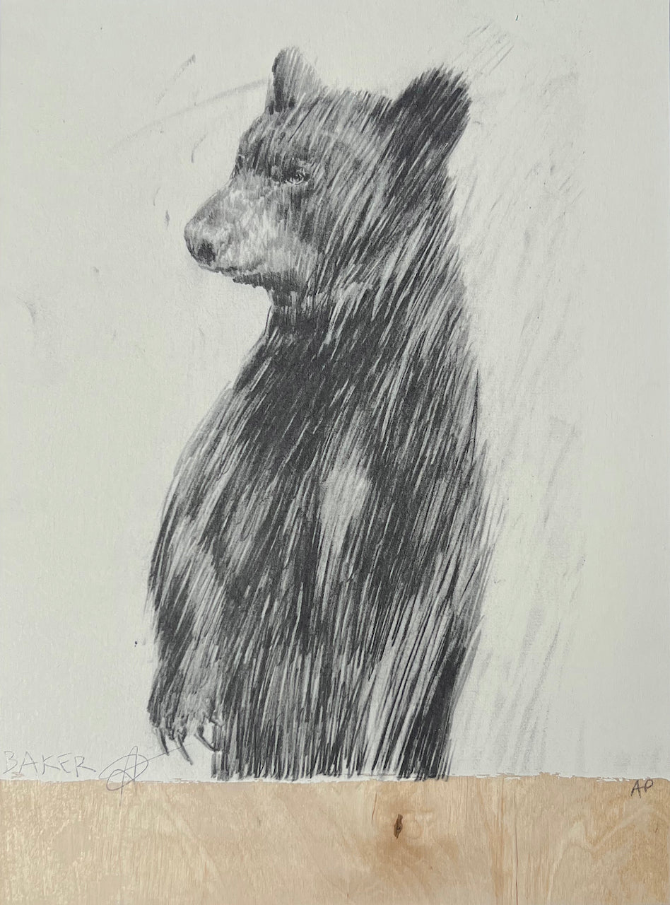 Three Bears (3)