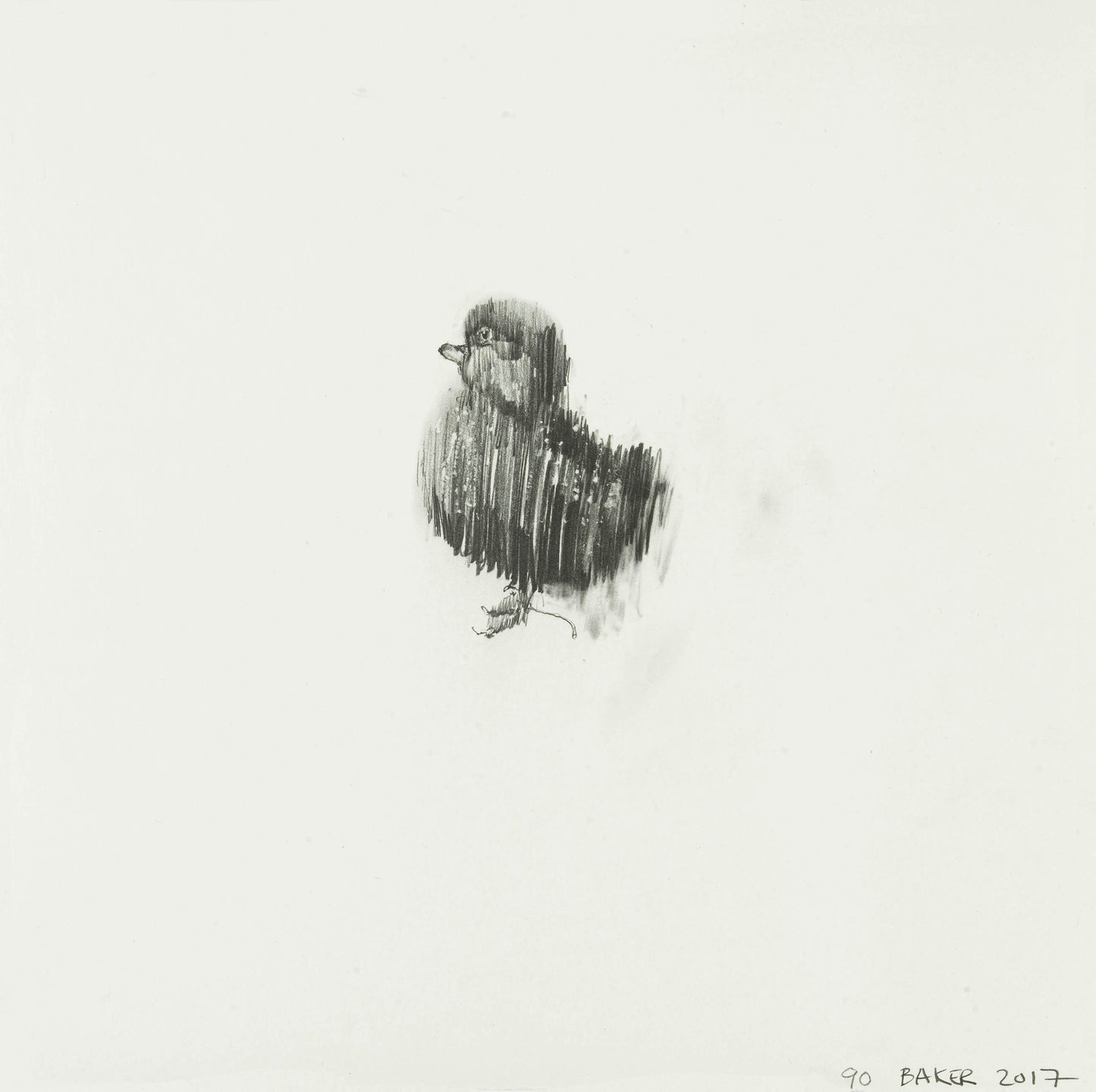 Duckling #90 Marlon