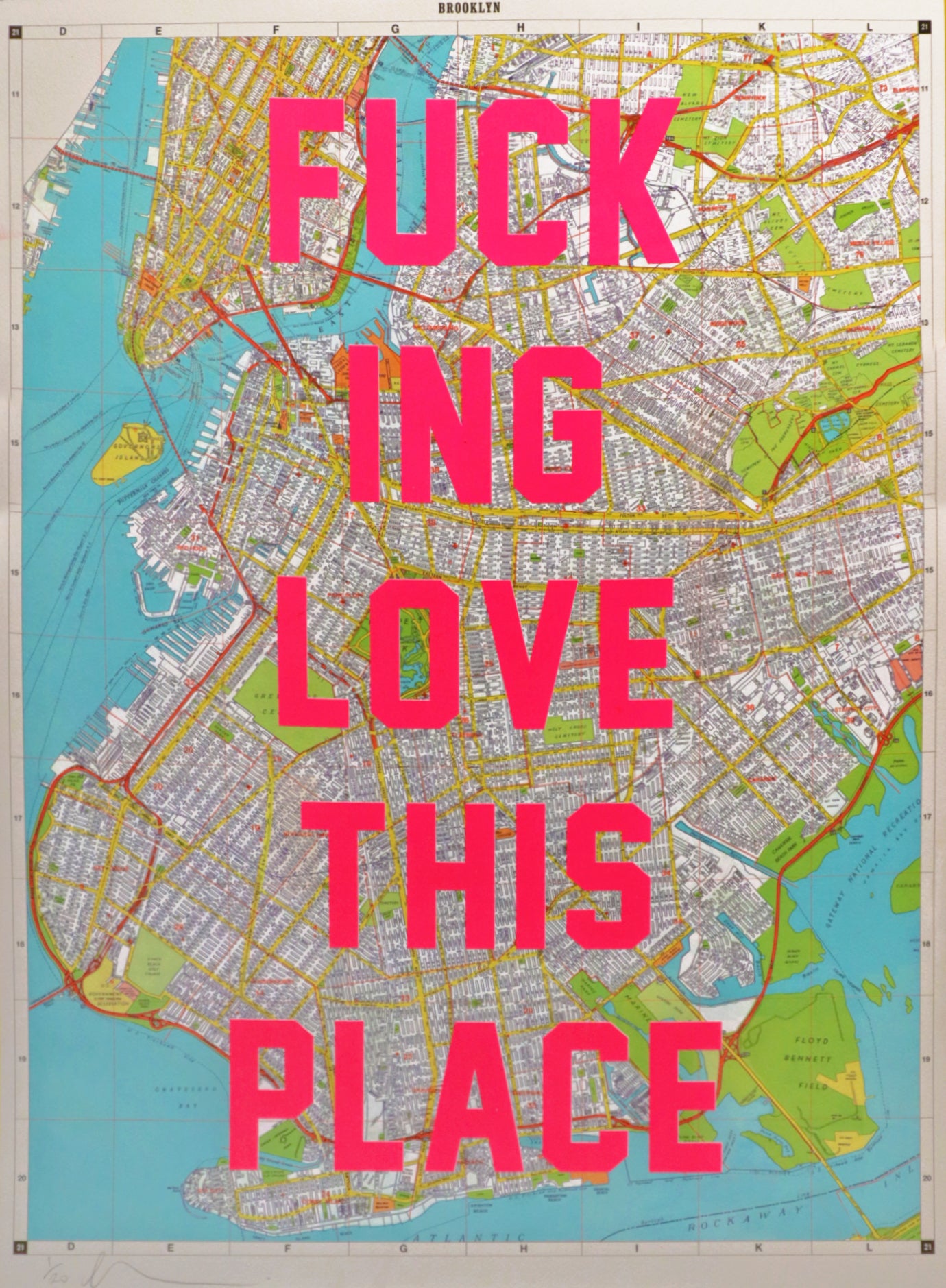 I Fucking Love This Place - Brooklyn (Small)