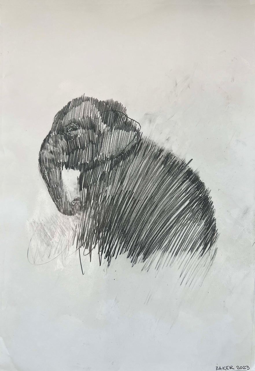 Baker’s Dozen - Mammoth Lies 10