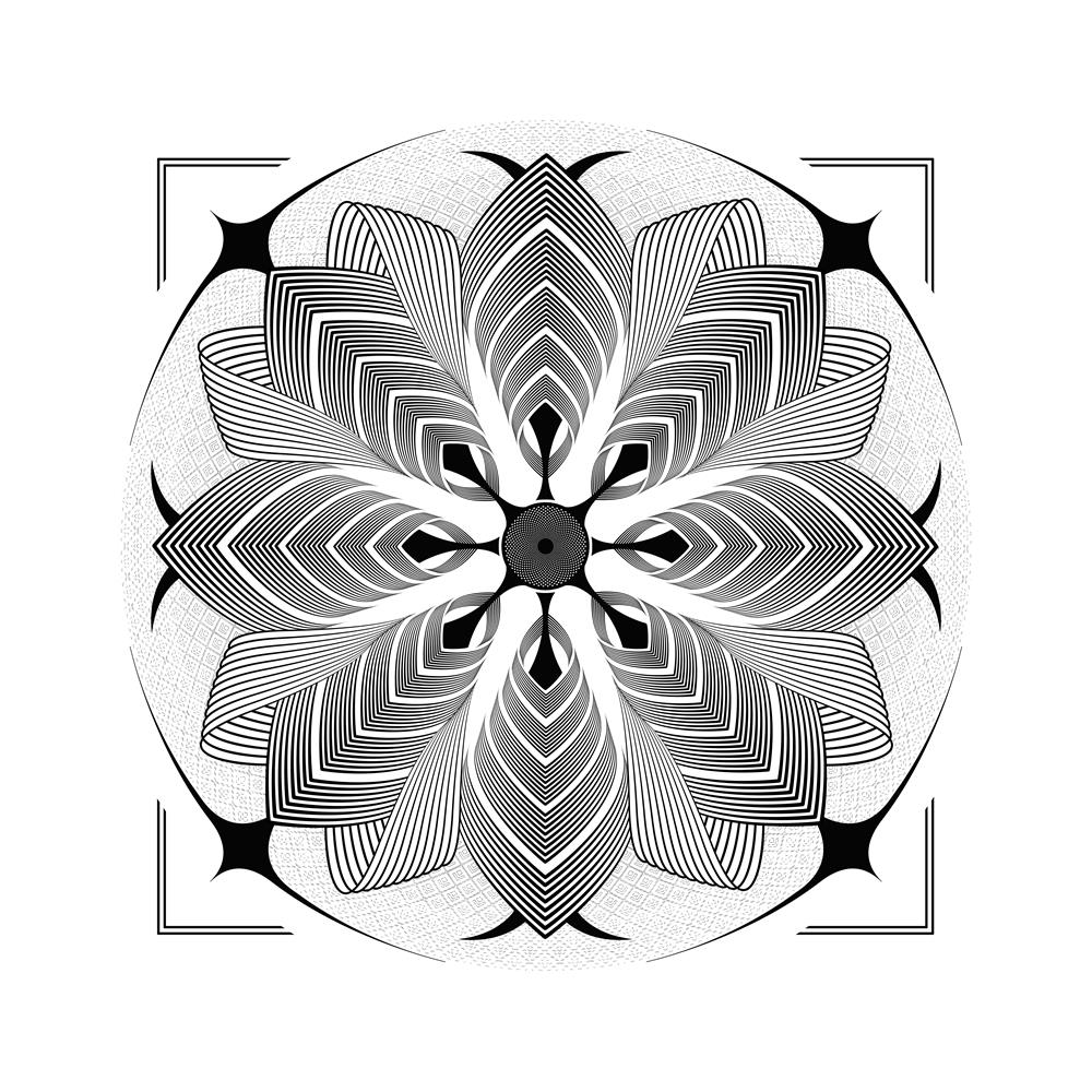 Bloom