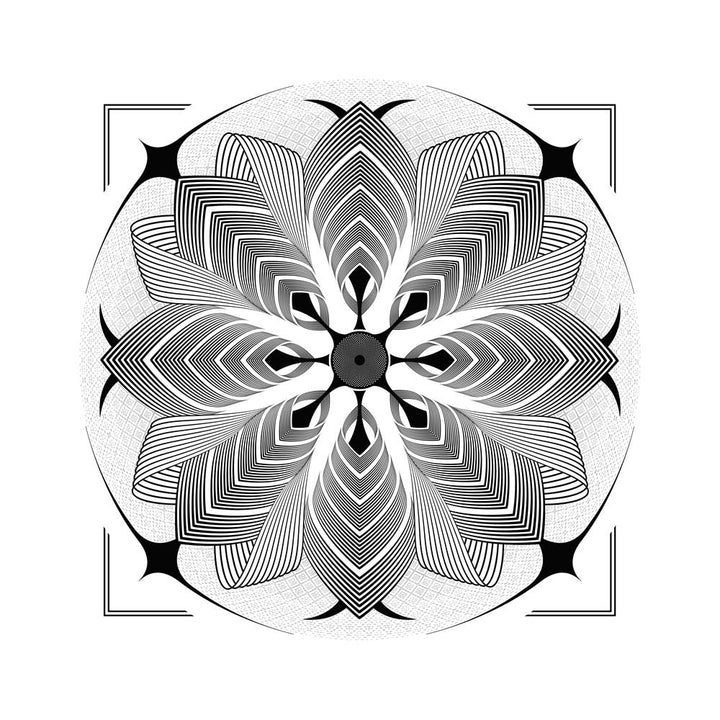 Bloom