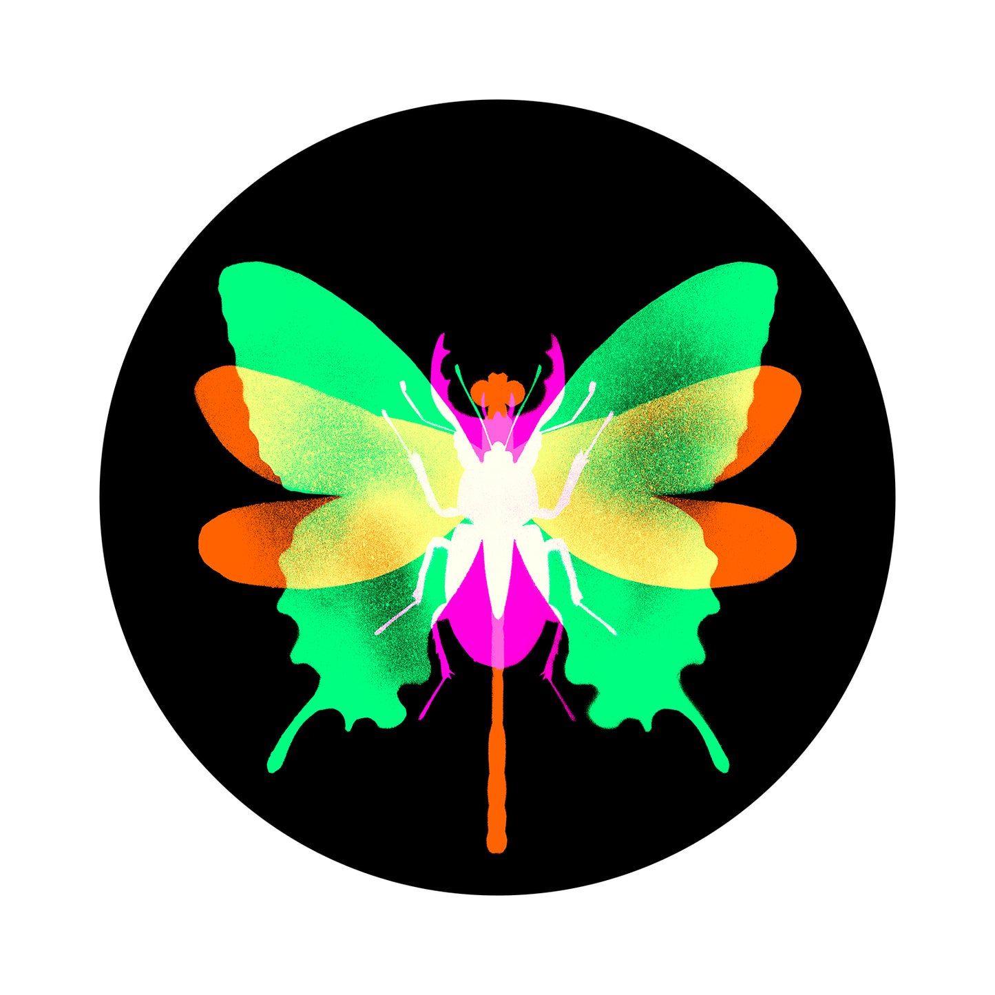 Hybrid 1c
