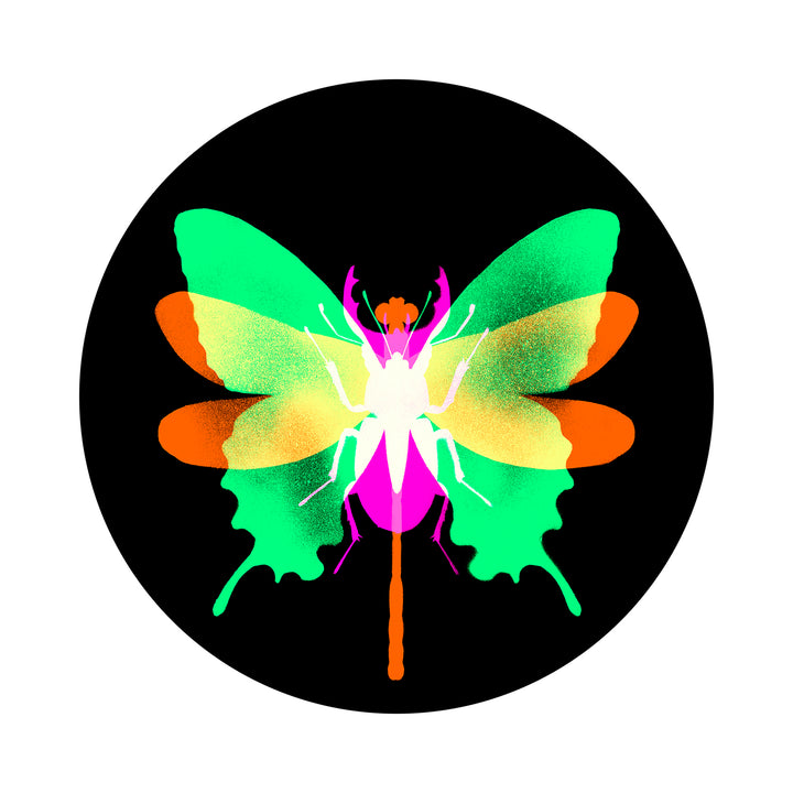 Hybrid 1c