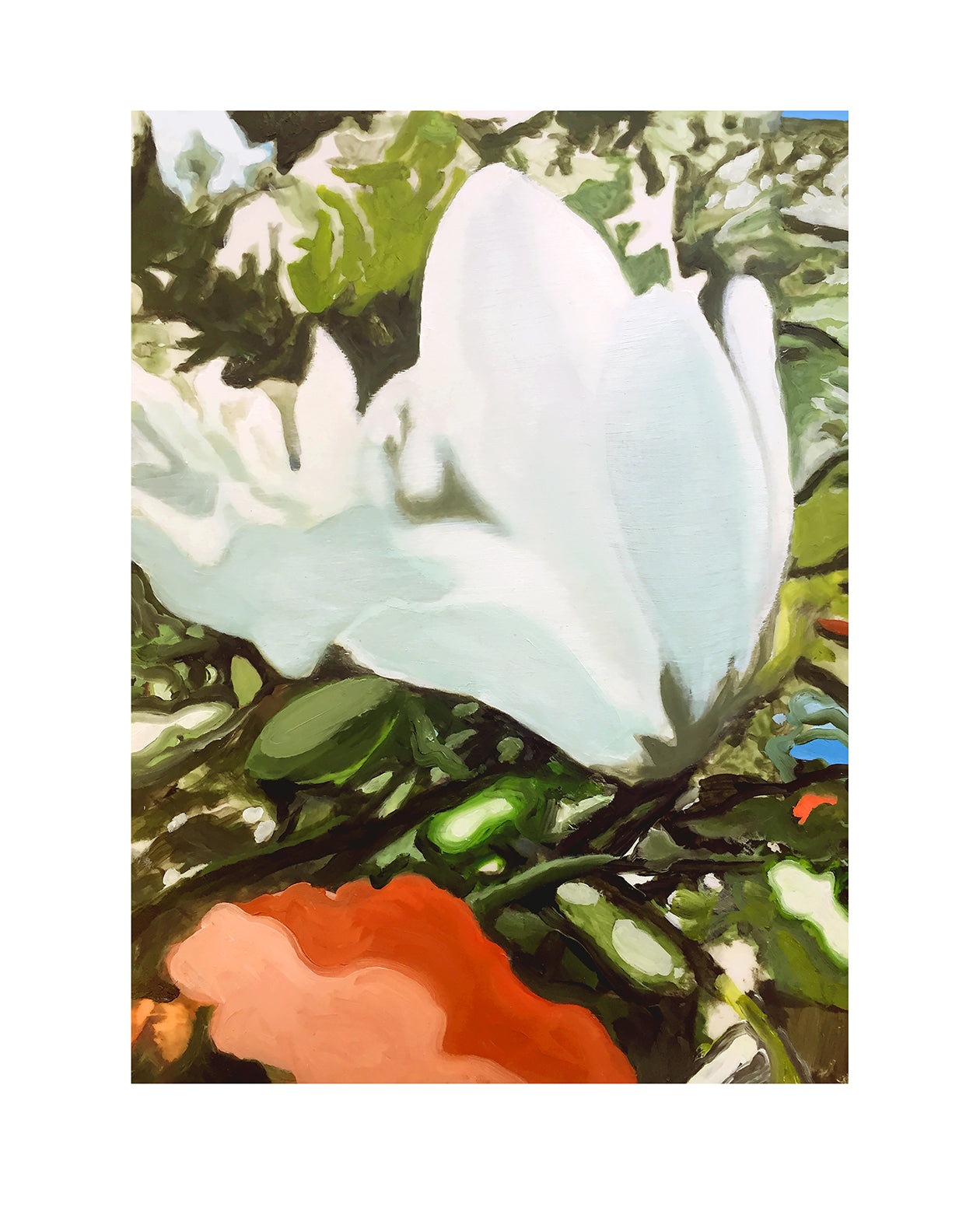 Magnolia II