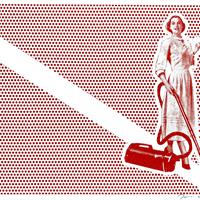 Lichtenstein's Cleaner - Set of 5
