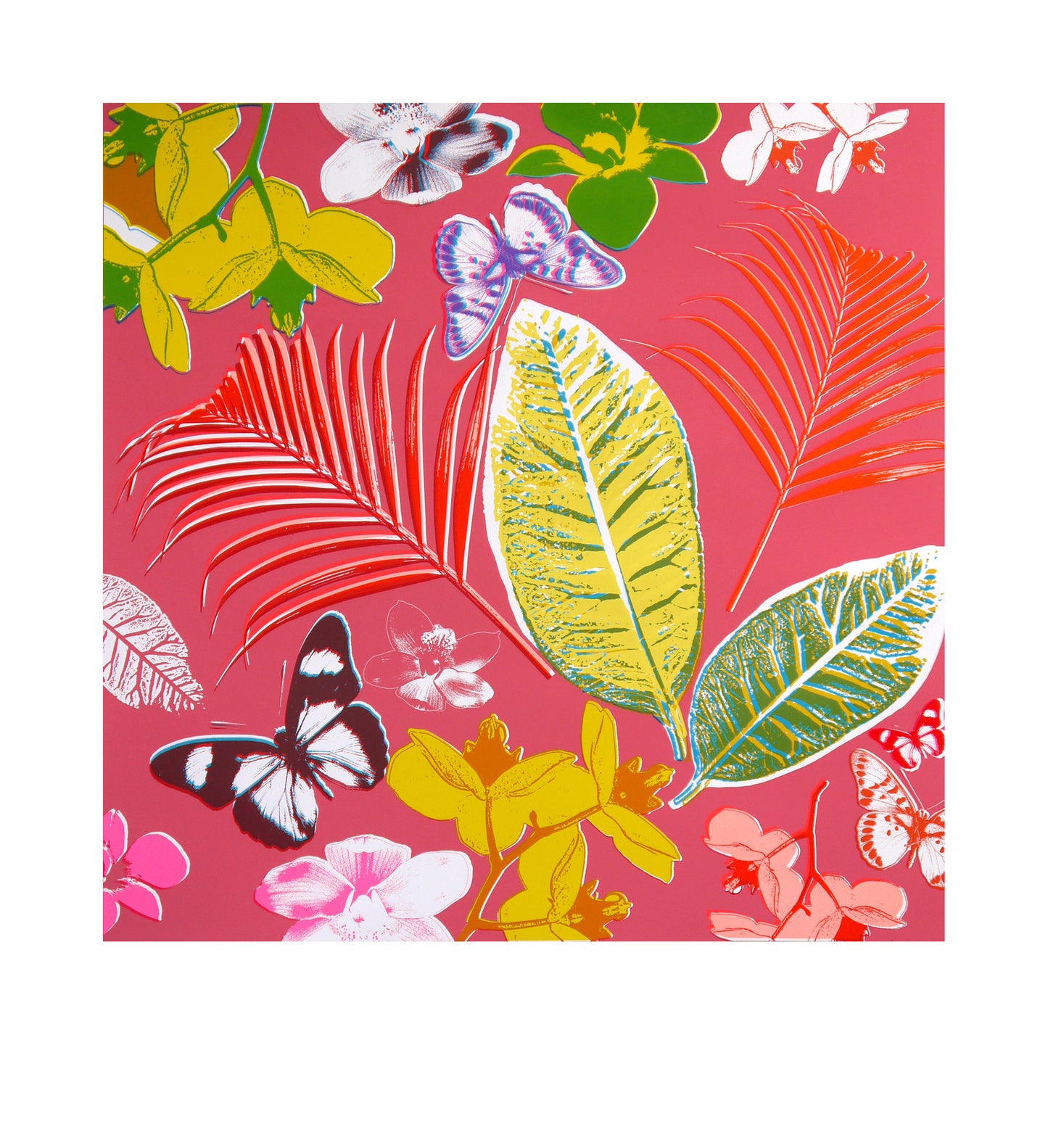 Ferns