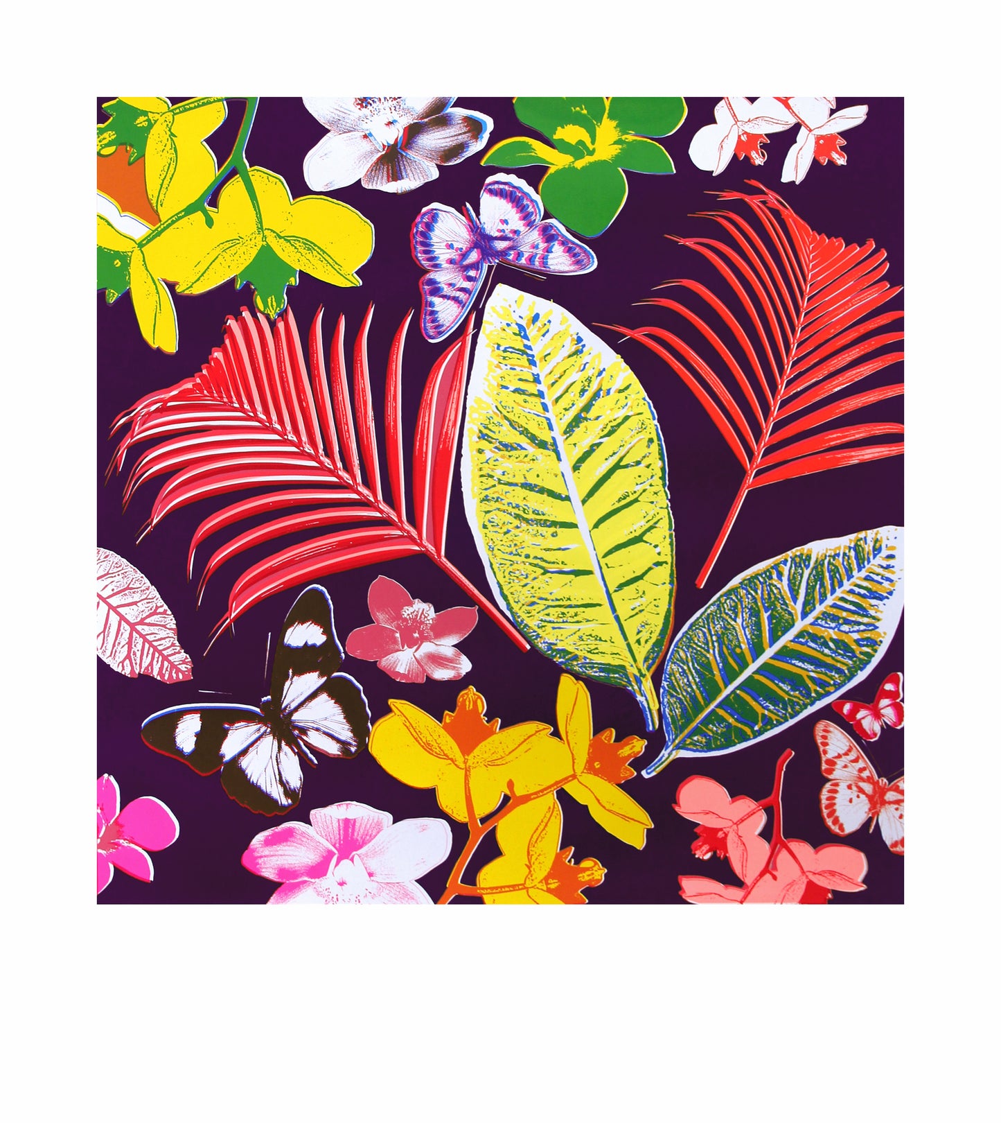 Ferns / Deep Purple