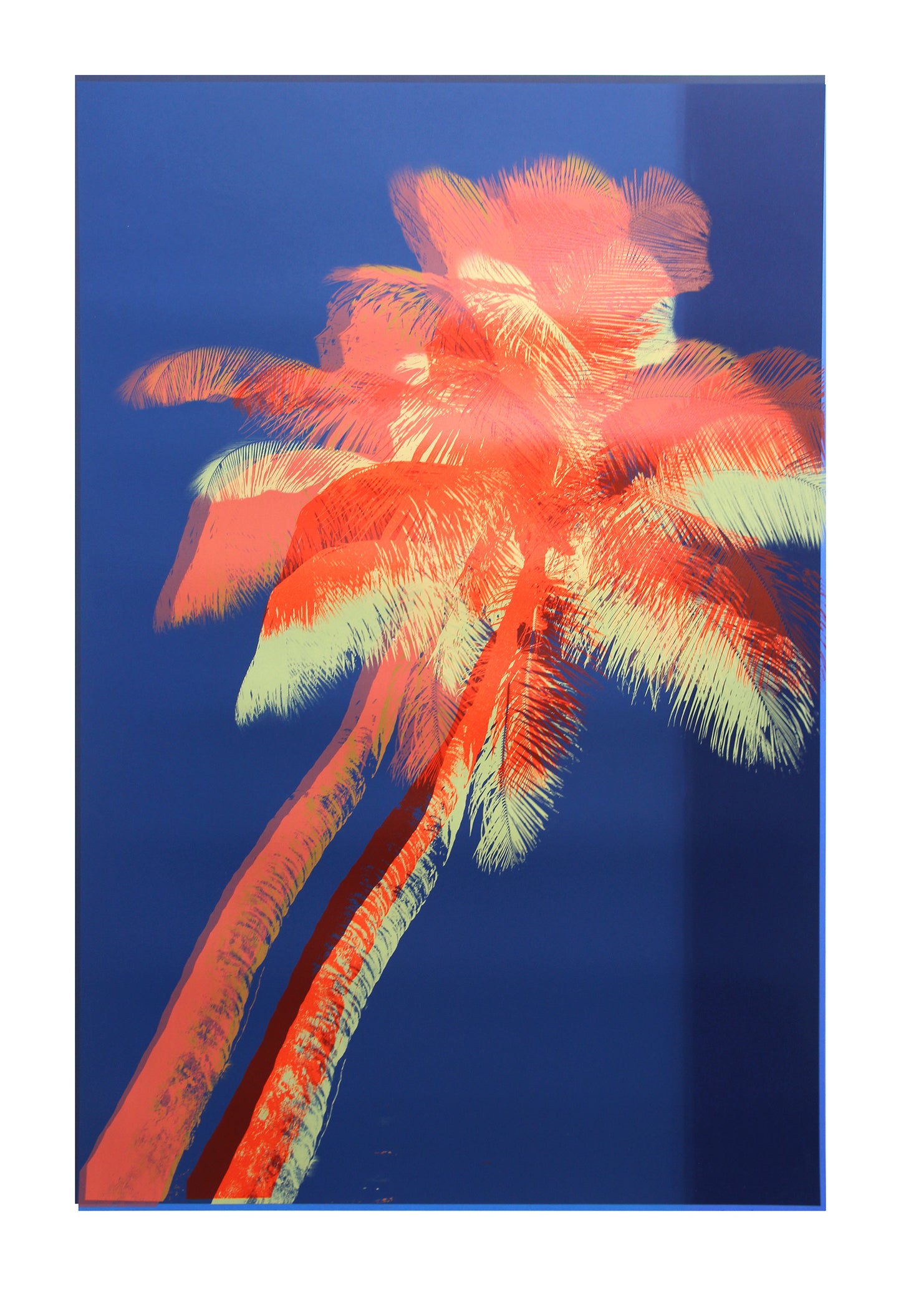 Midnight Palm