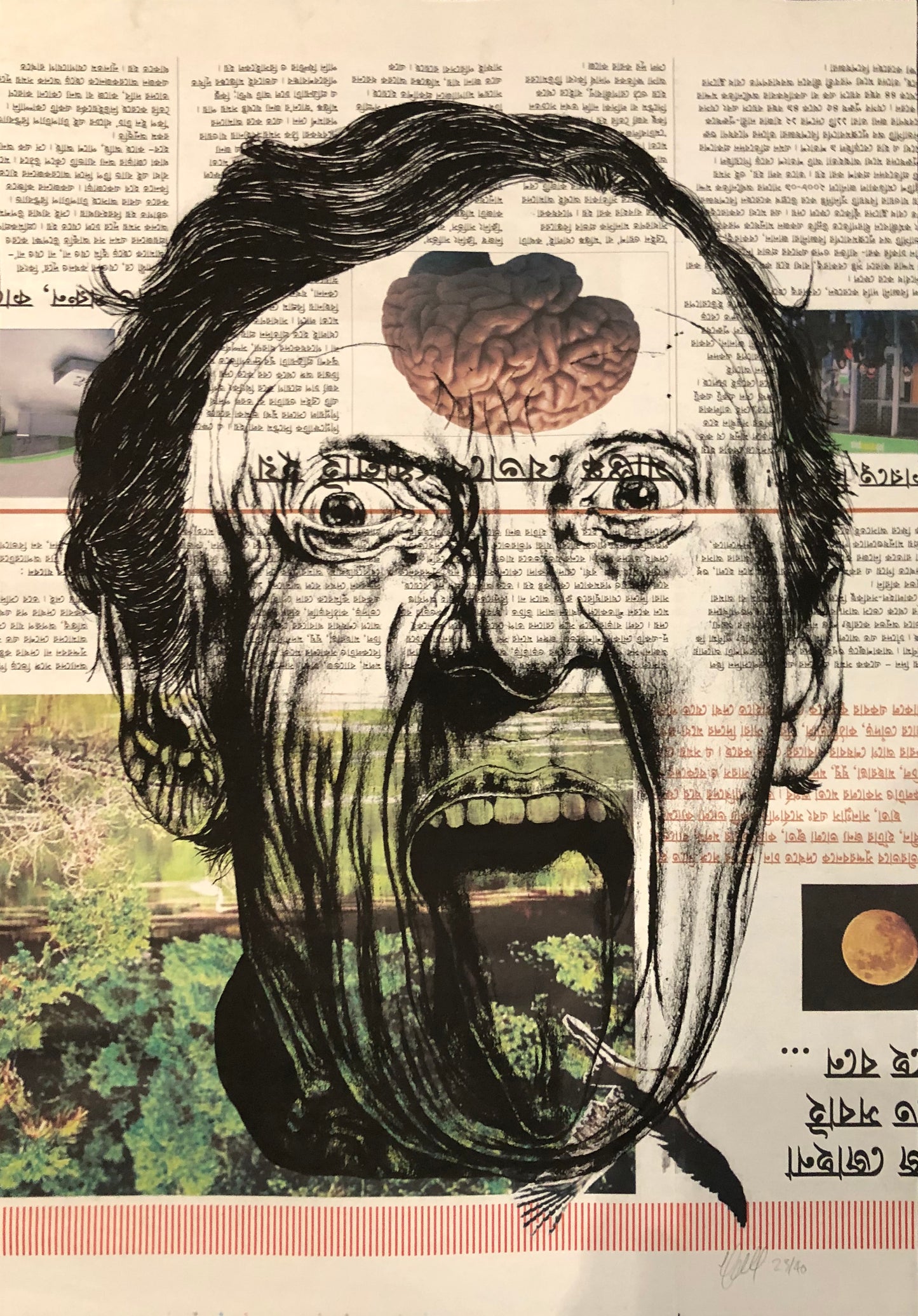 Newspaper Portrait