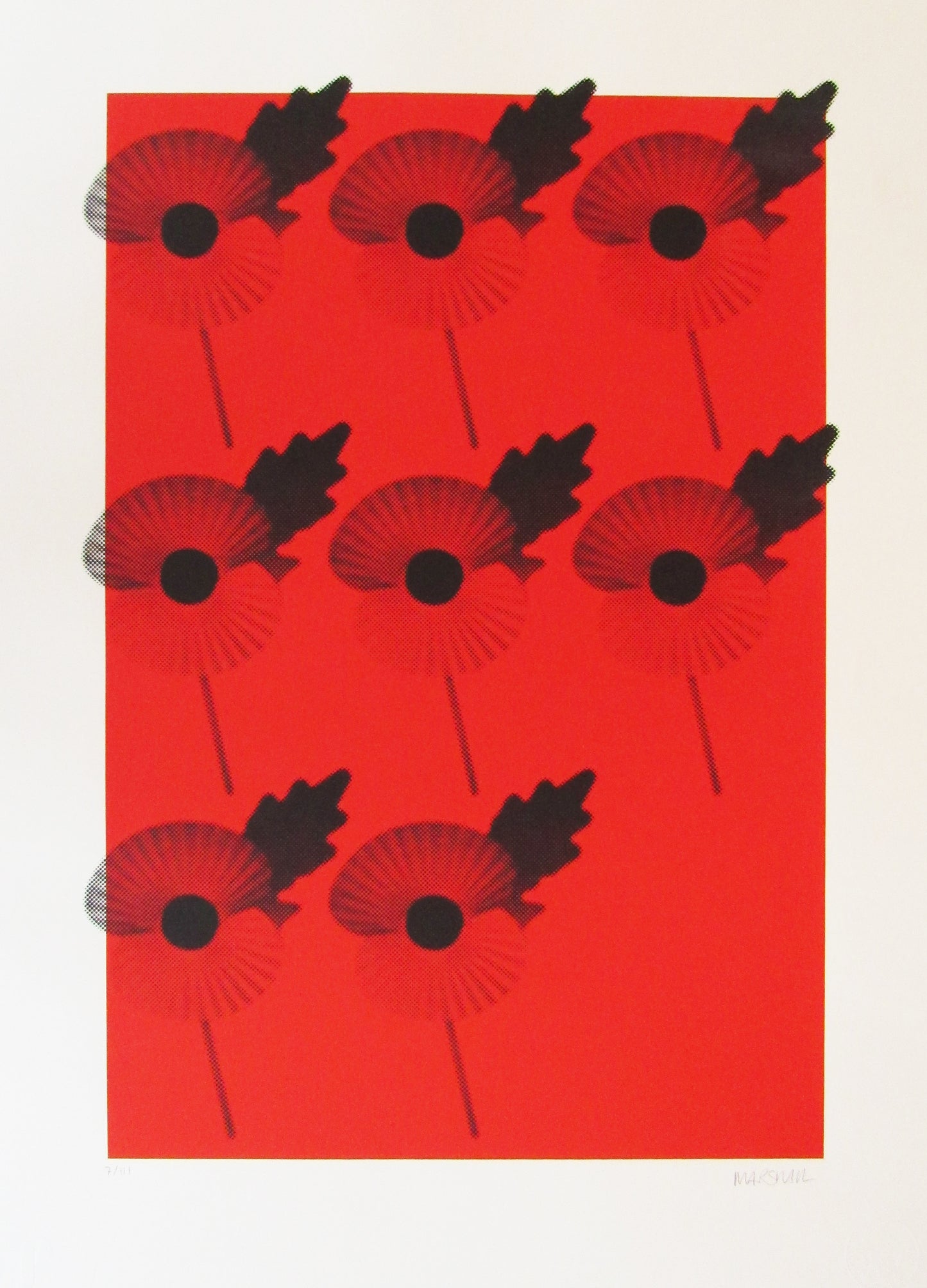 Poppies
