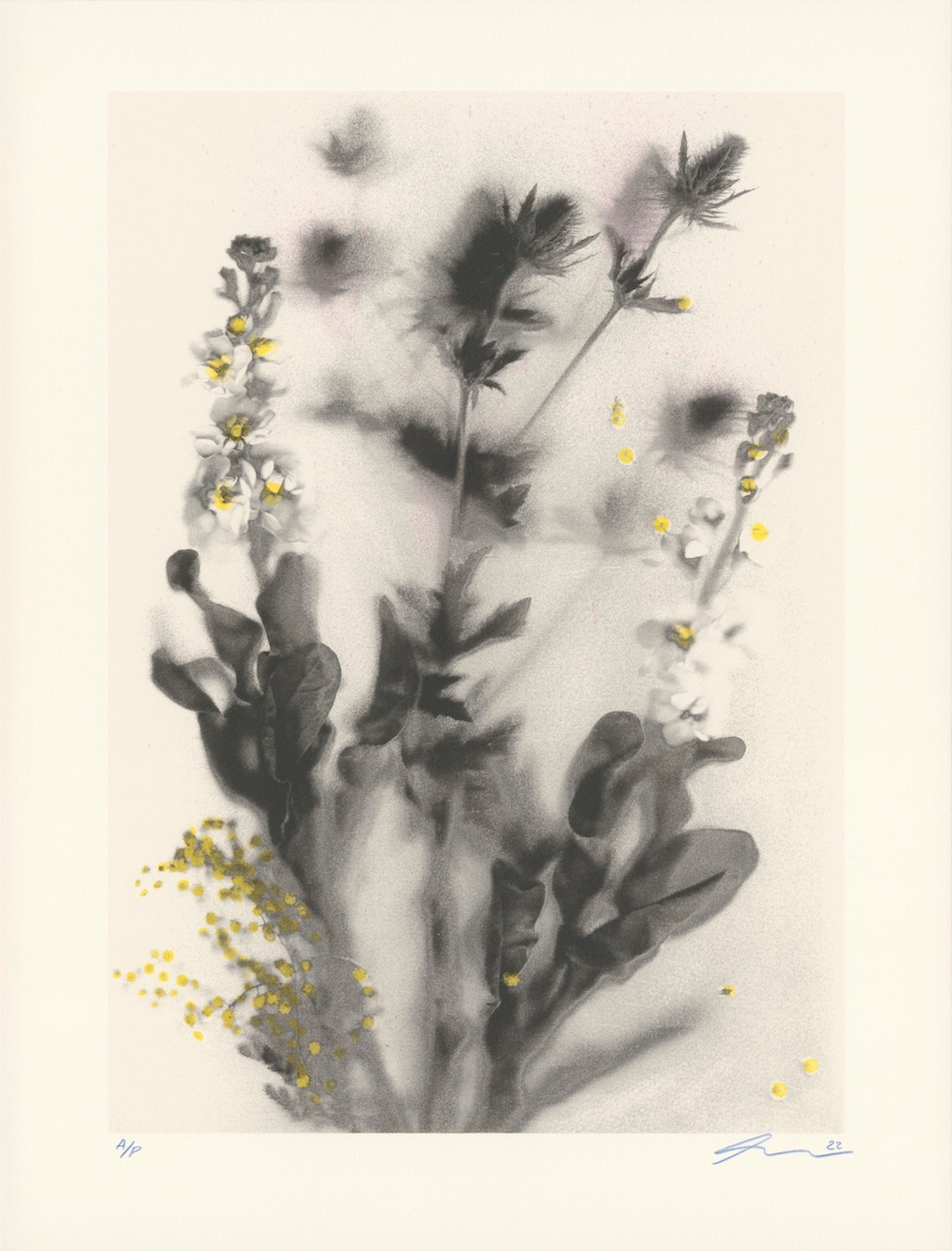 Untitled (January)