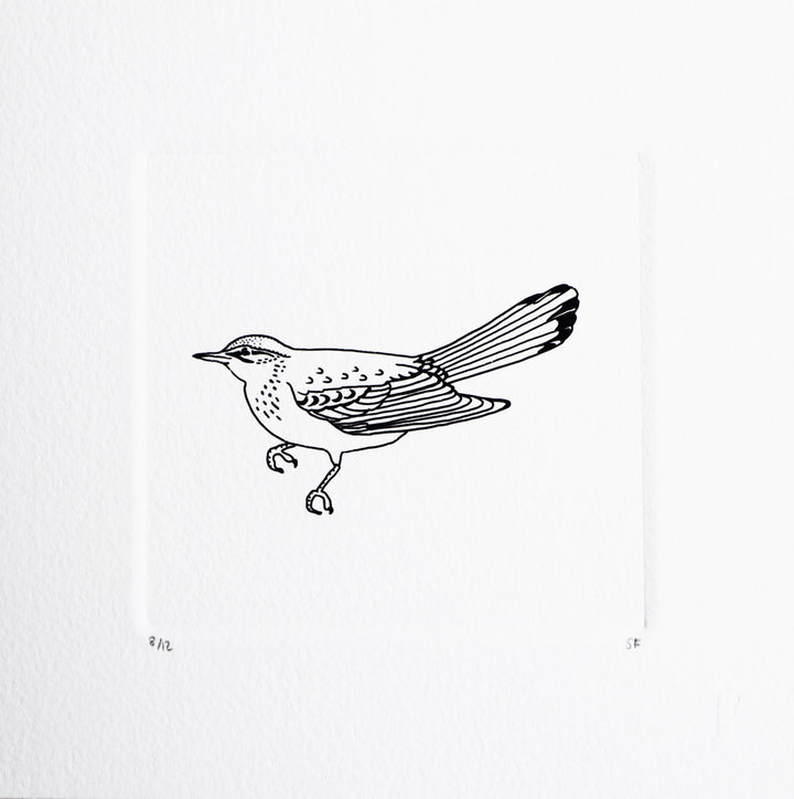 Bird 35