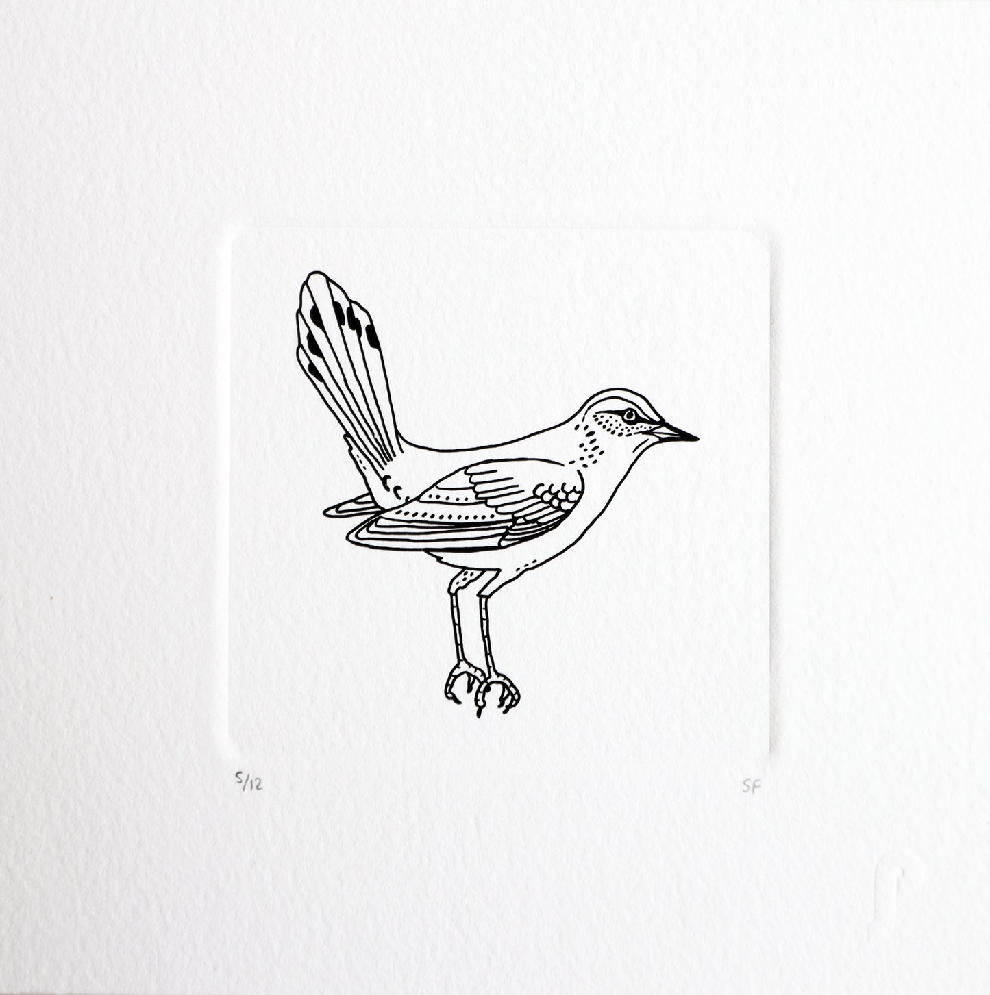 Bird 66