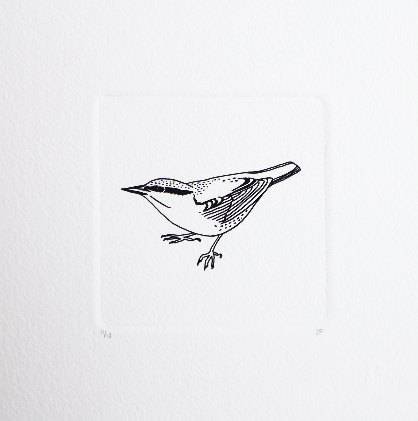 Bird 68