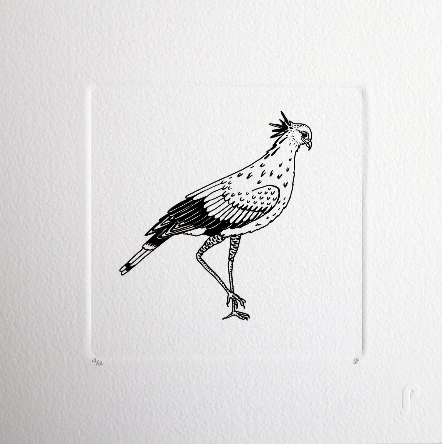 Bird 69