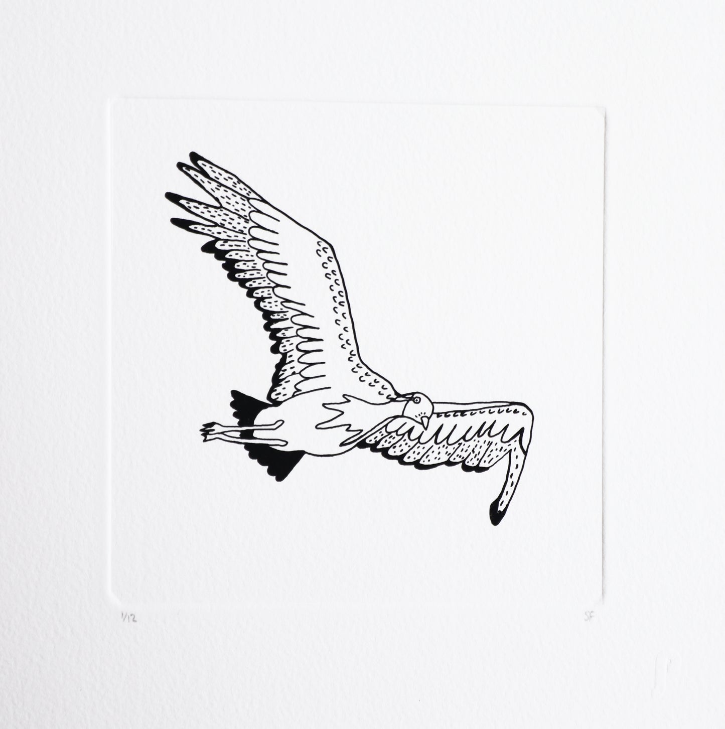 Bird 70