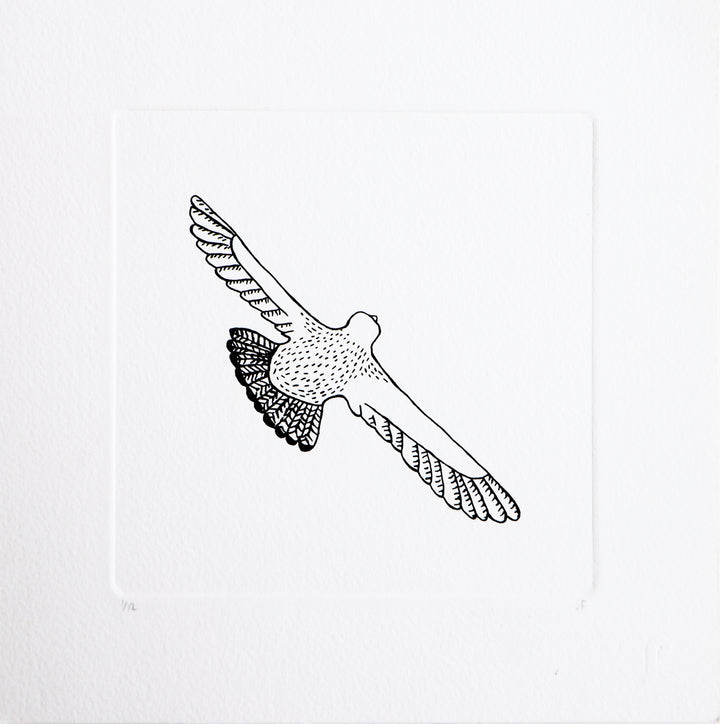 Bird 72