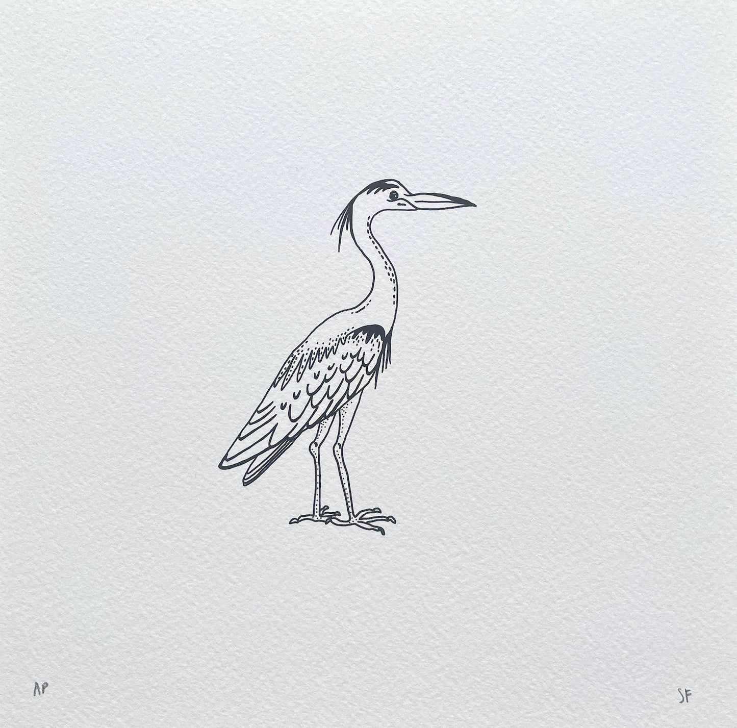 Bird 73