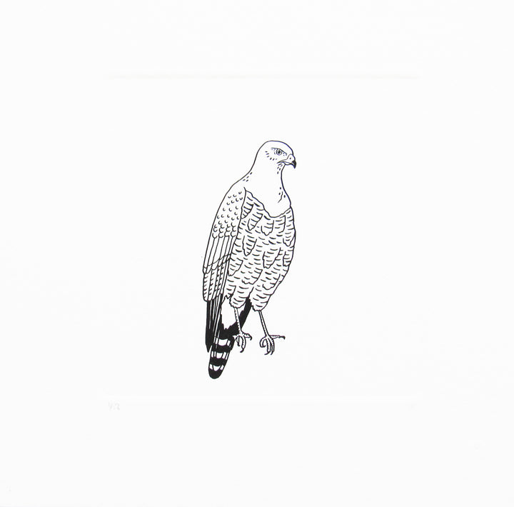 Bird 2