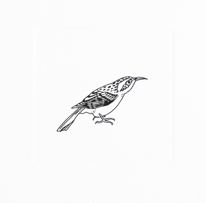 Bird 4