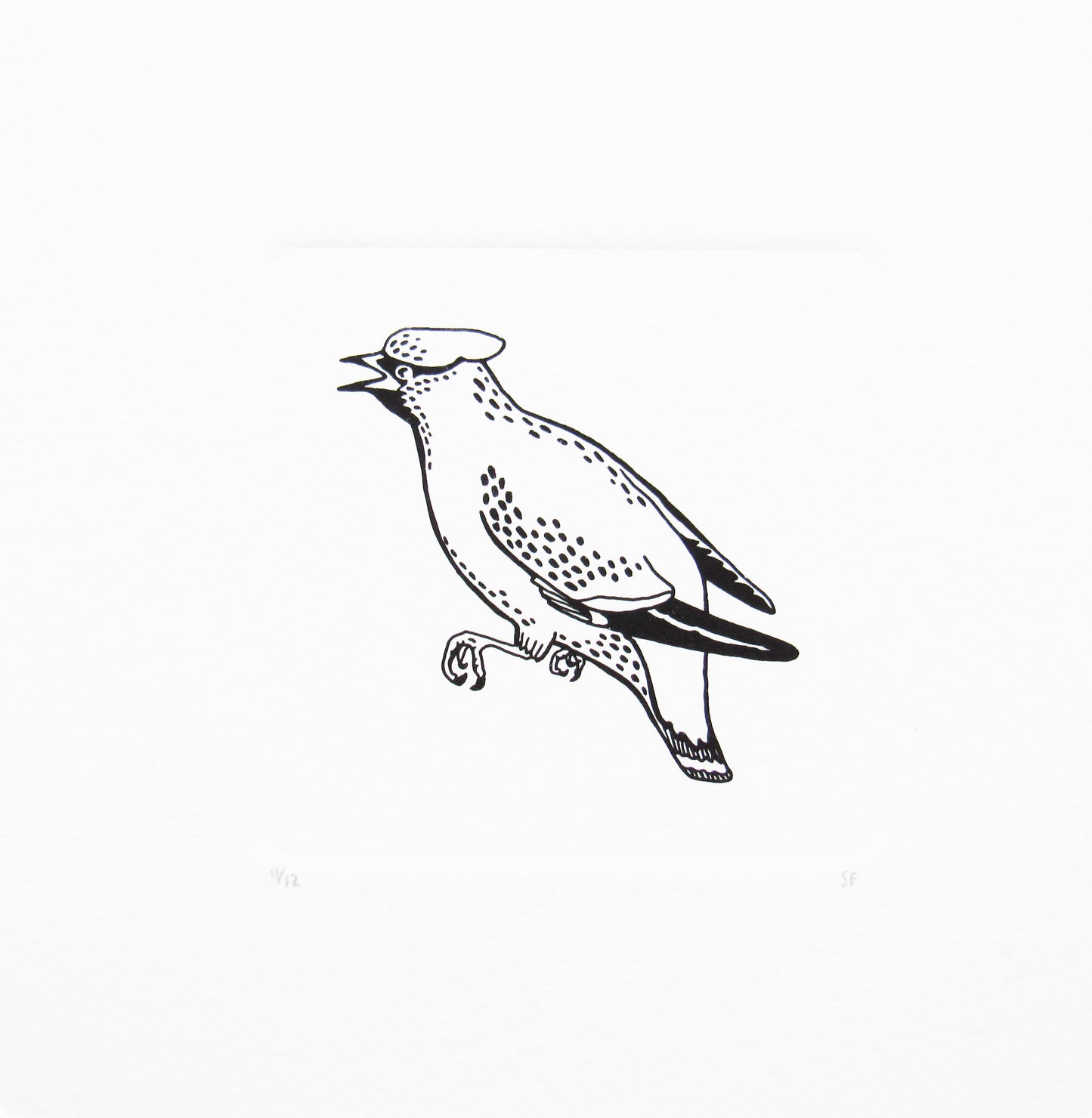 Bird 10
