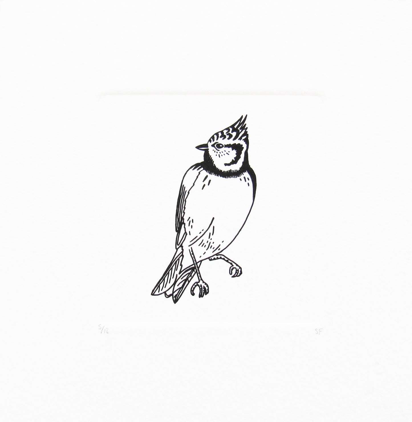 Bird 11