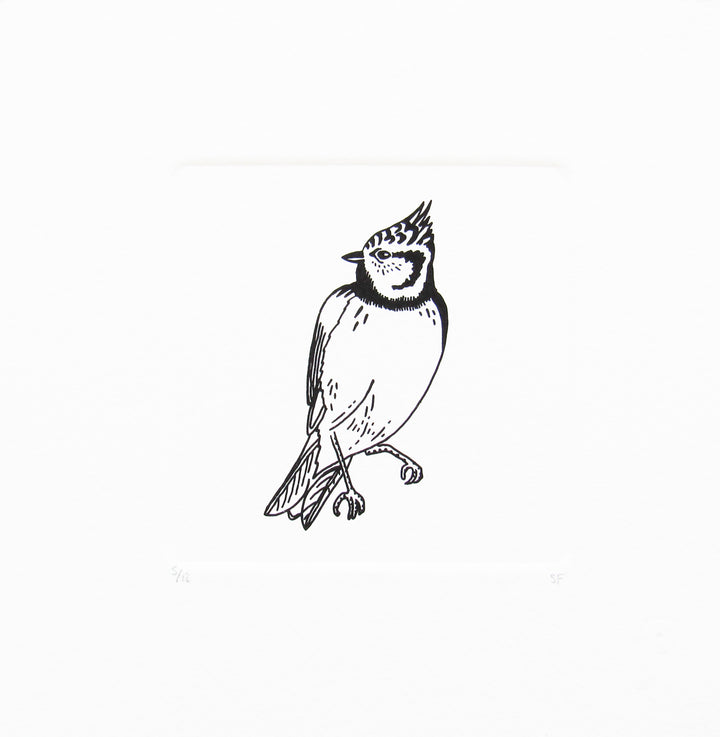 Bird 11