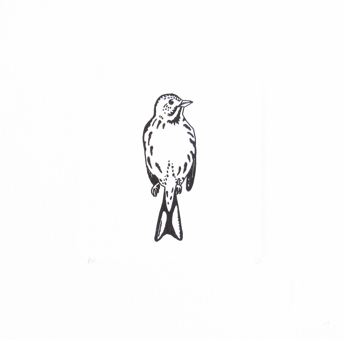Bird 12