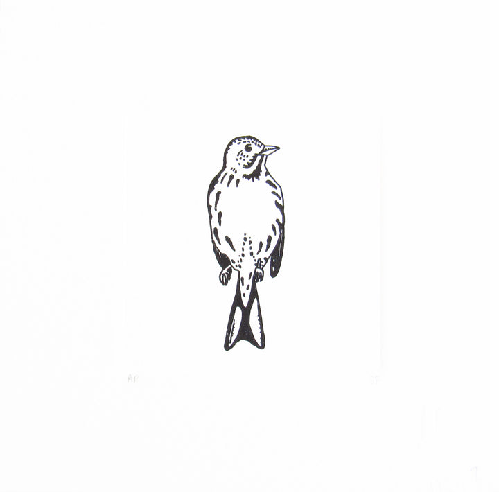 Bird 12
