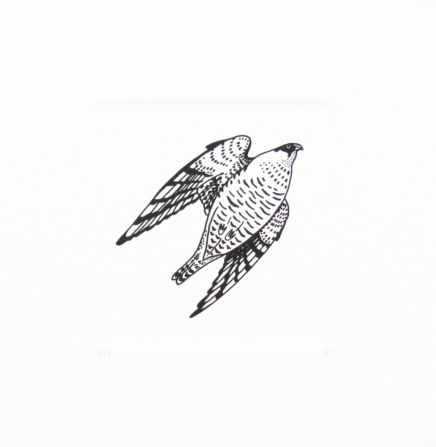 Bird 5