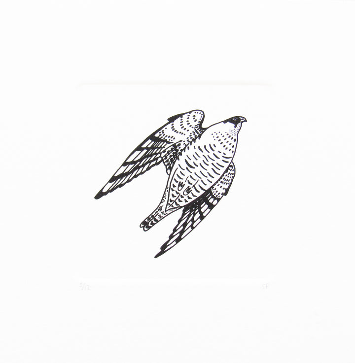 Bird 5