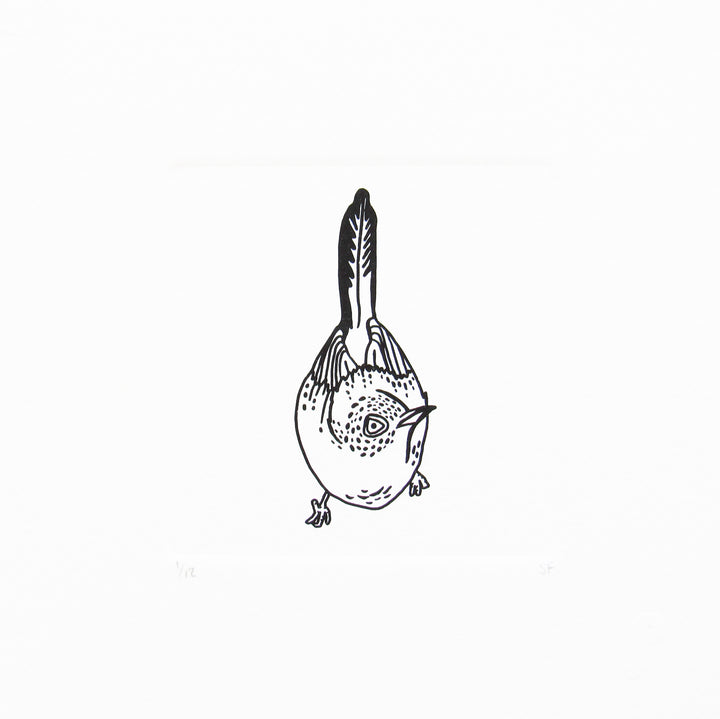Bird 13