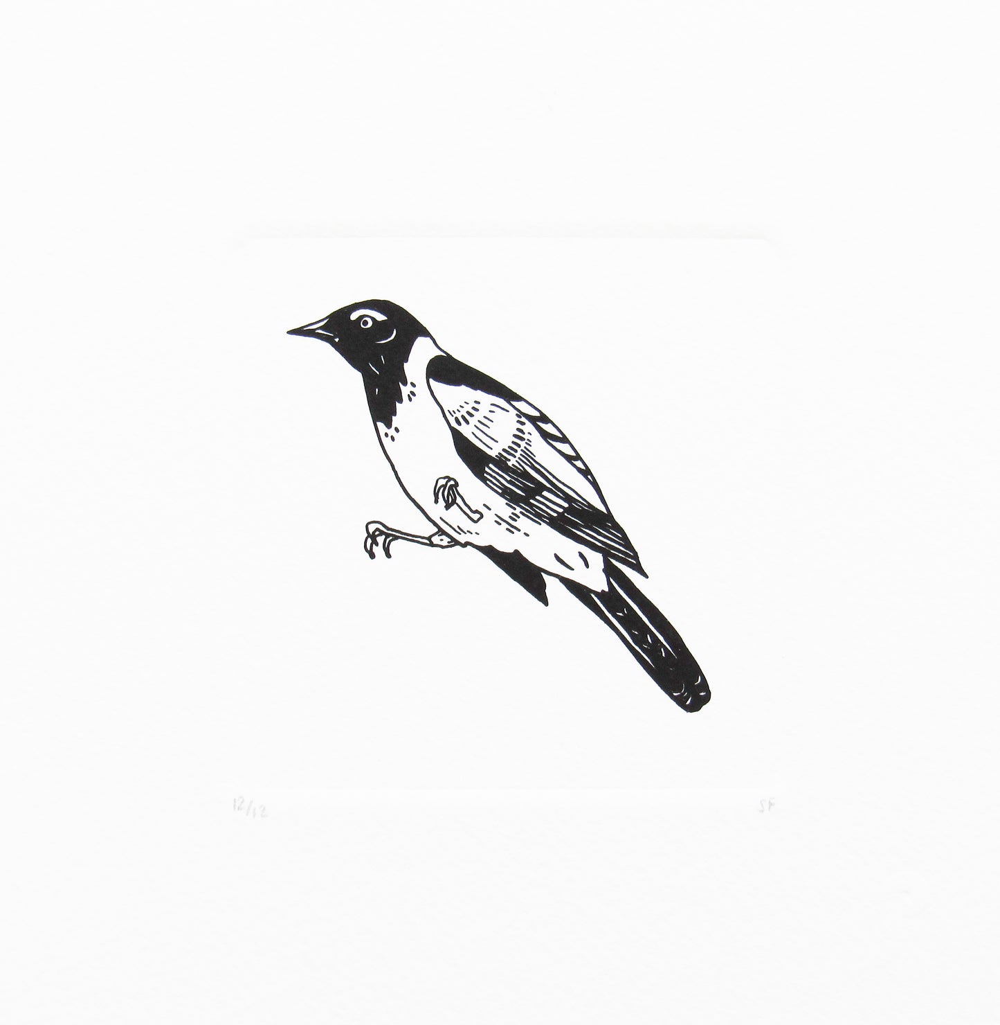 Bird 17