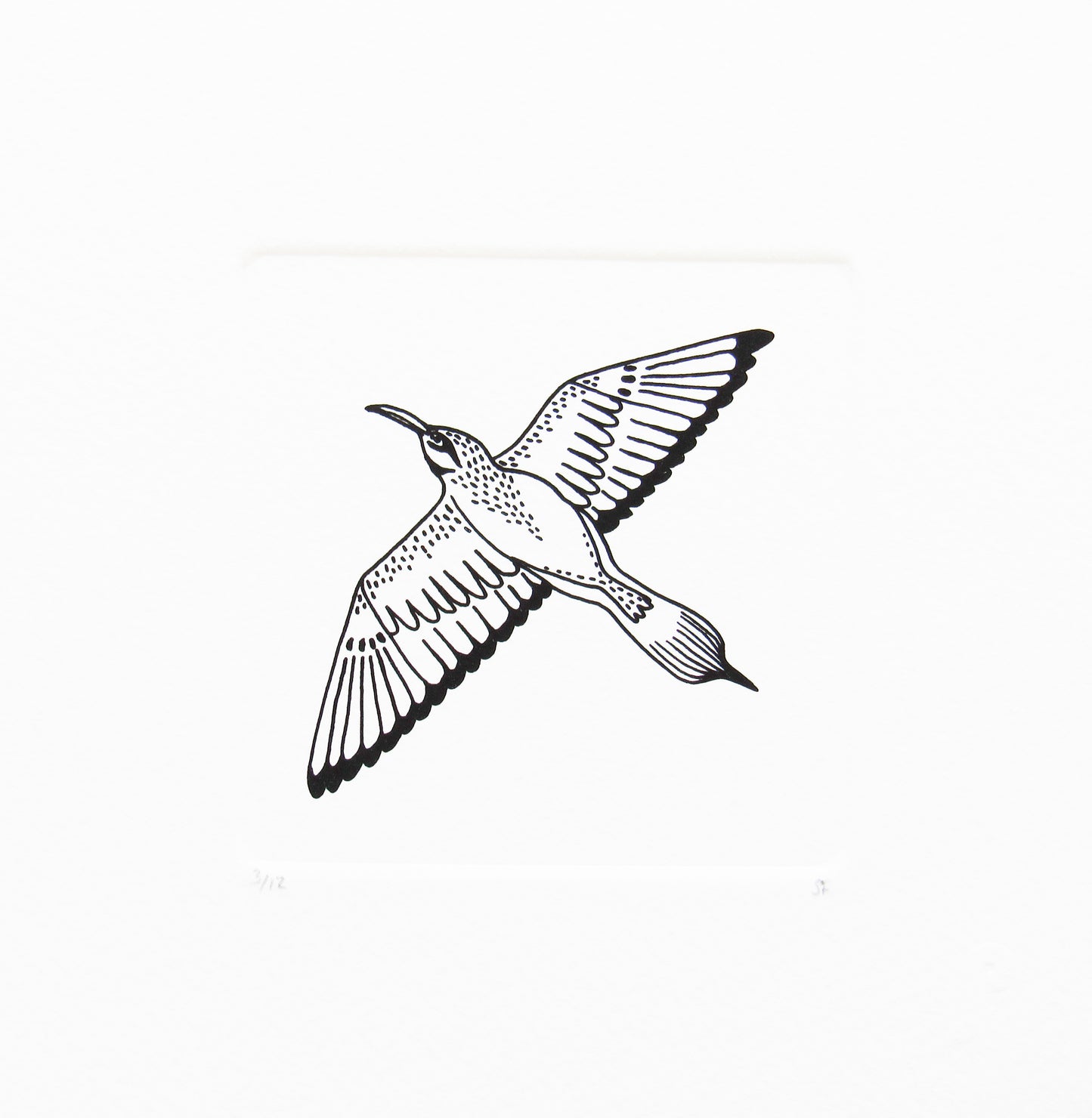 Bird 18