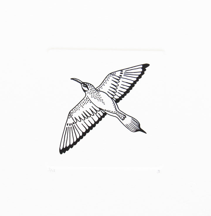 Bird 18