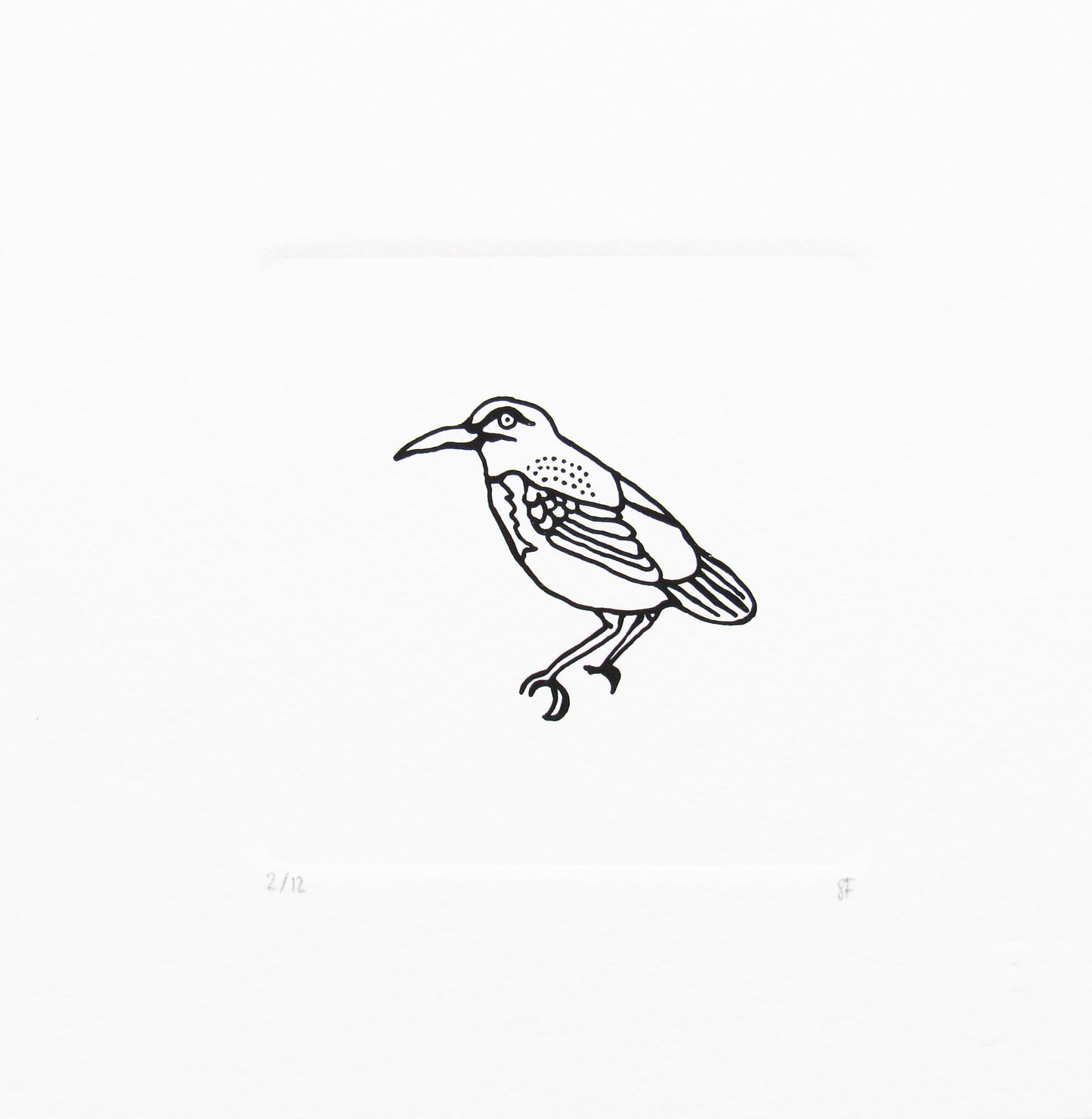 Bird 19