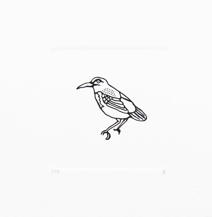 Bird 19