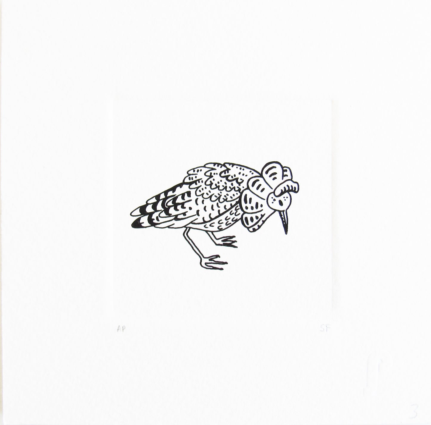 Bird 21