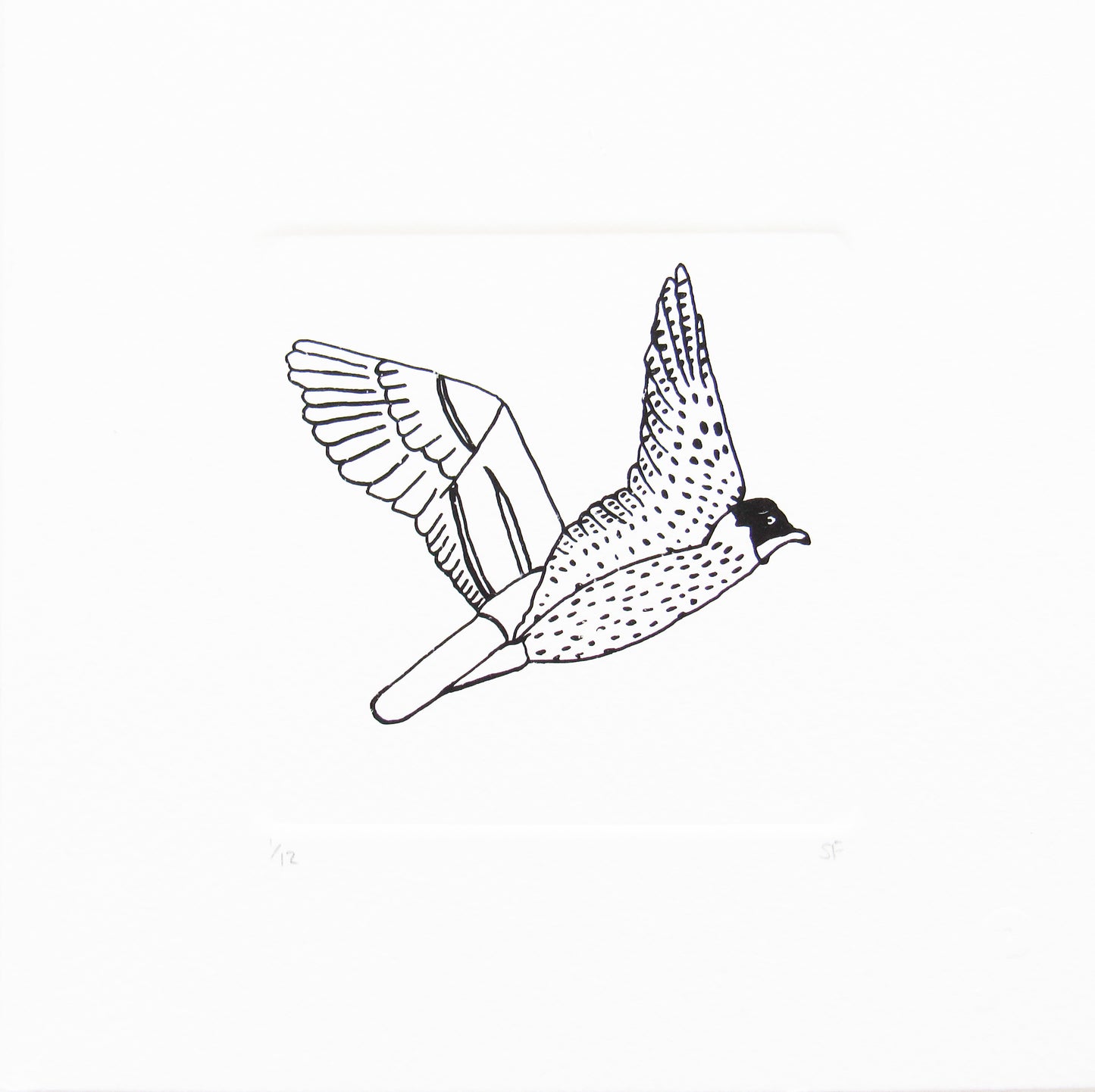 Bird 22